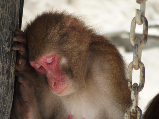 2240320ac14049438f1df1d39e71b98b_s