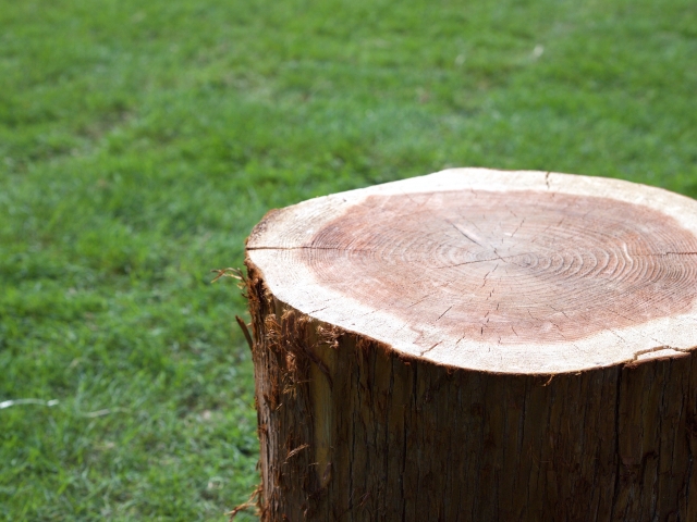 377d57fb0bbe990fd0238775d94d83e6_s