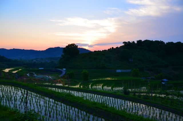 4388a26254443a28d356c020601804fe_s