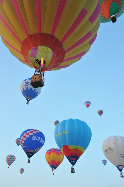 48eff0f575a67f7ecc1b0b85bedc7f9e_s