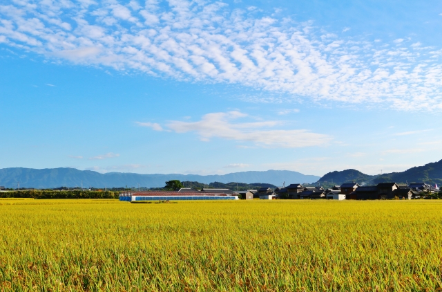 903c11ad28eed1d2c34c1eb609991095_s