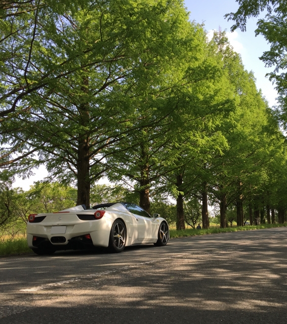 65c665a6cf8fbbcd35d51a251be0d6ca_s