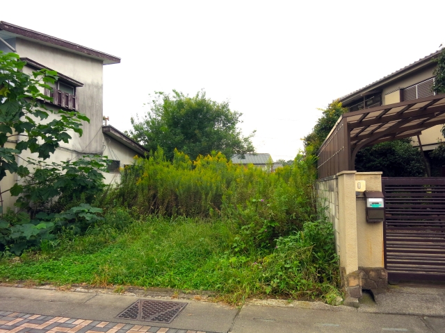 8993431afd95e5d3e27785d130276f55_s