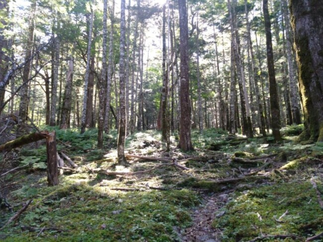 cameringo_20230813_082341